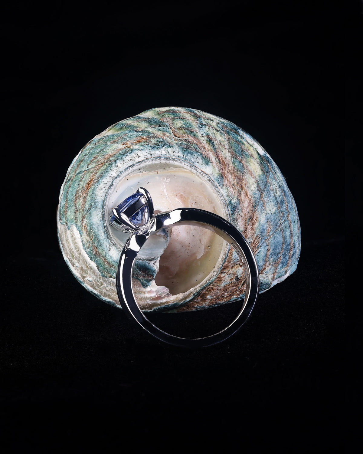 Sapphire Engagement Ring - Past MJS Commission - PG-BI-866 - image 1