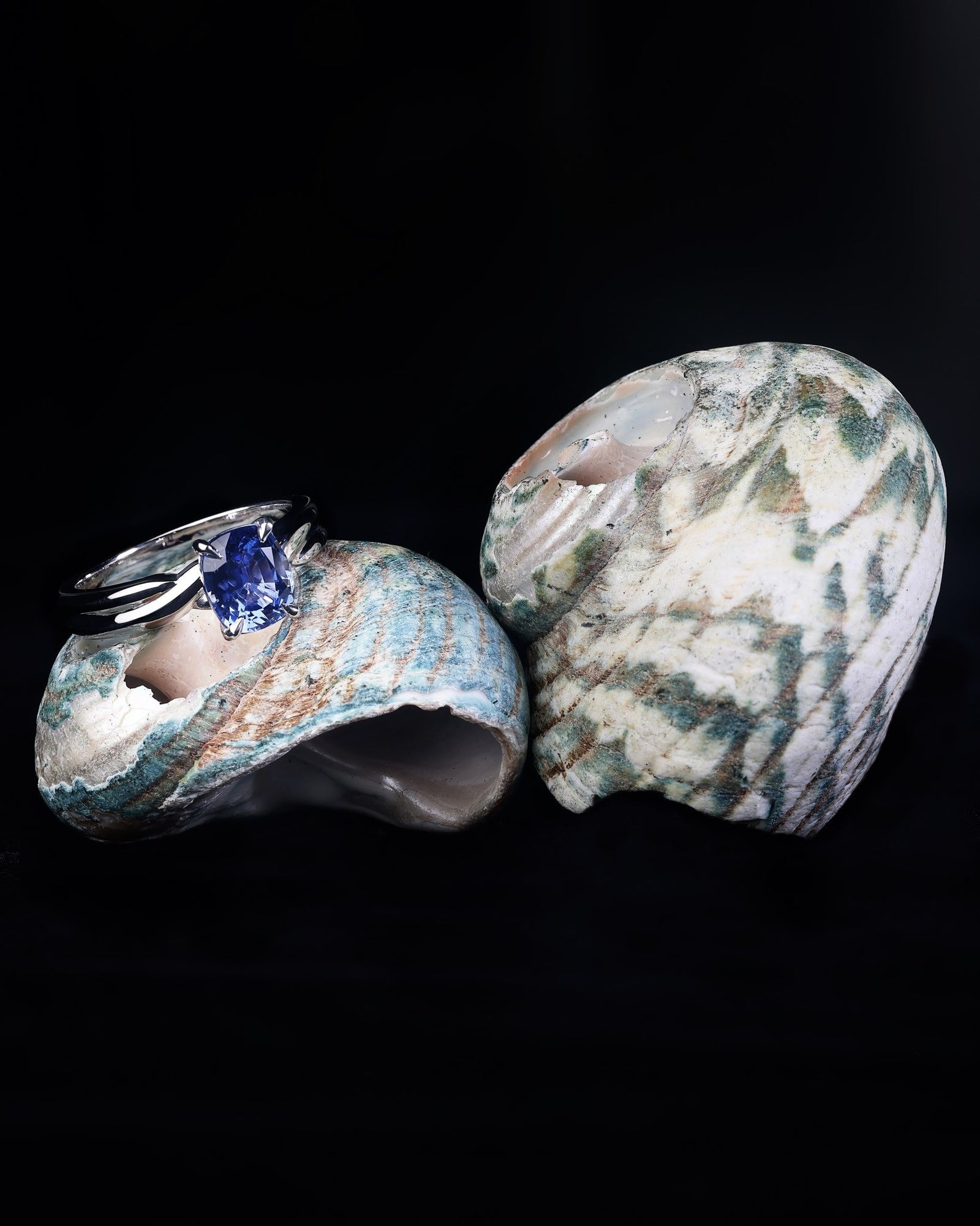Sapphire Engagement Ring - Past MJS Commission - PG-BI-866 - image 1