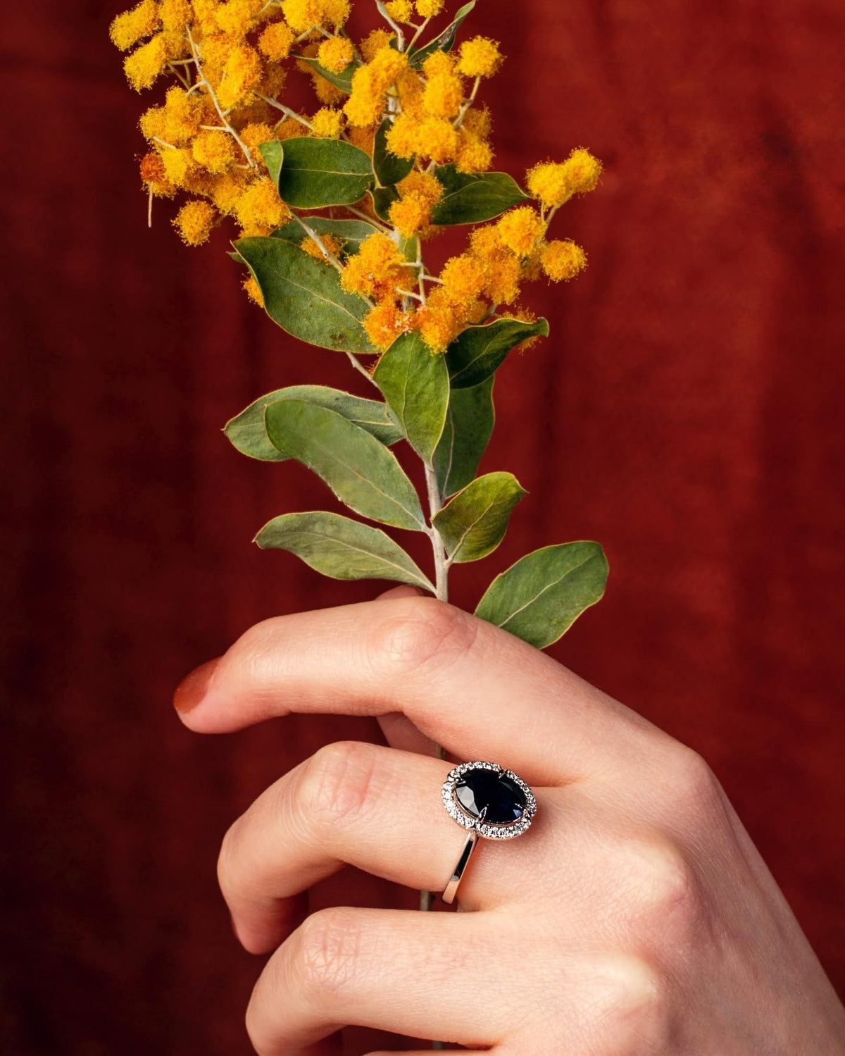 Sapphire Ring - Past MJS Commission - PG-BI-867 - image 3