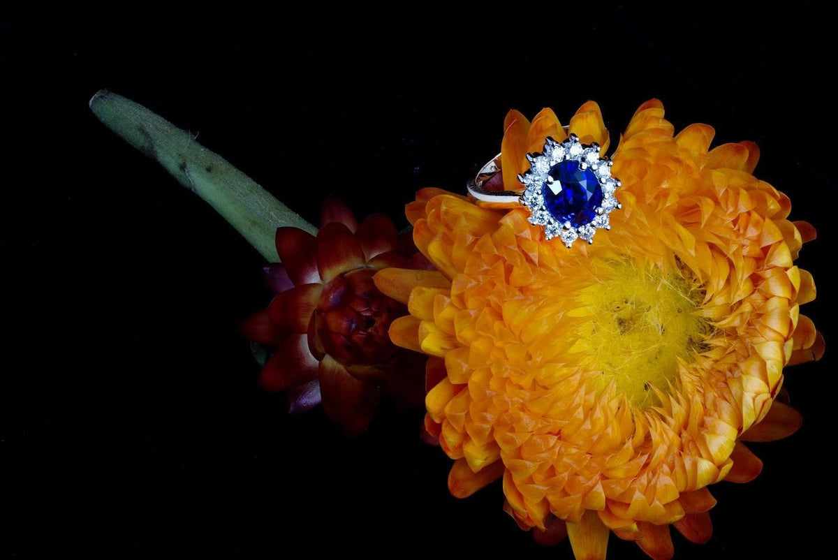 Ceylon Sapphire Engagement Ring - PG-BI-042 - image 1