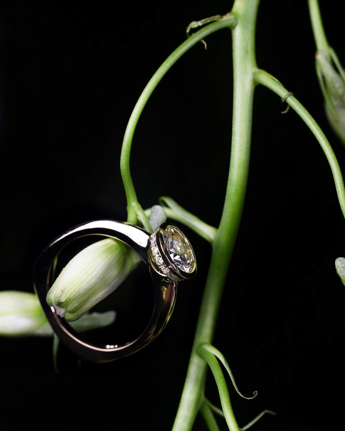 yellow gold Engagement Ring - PG-BI-045 - image 2