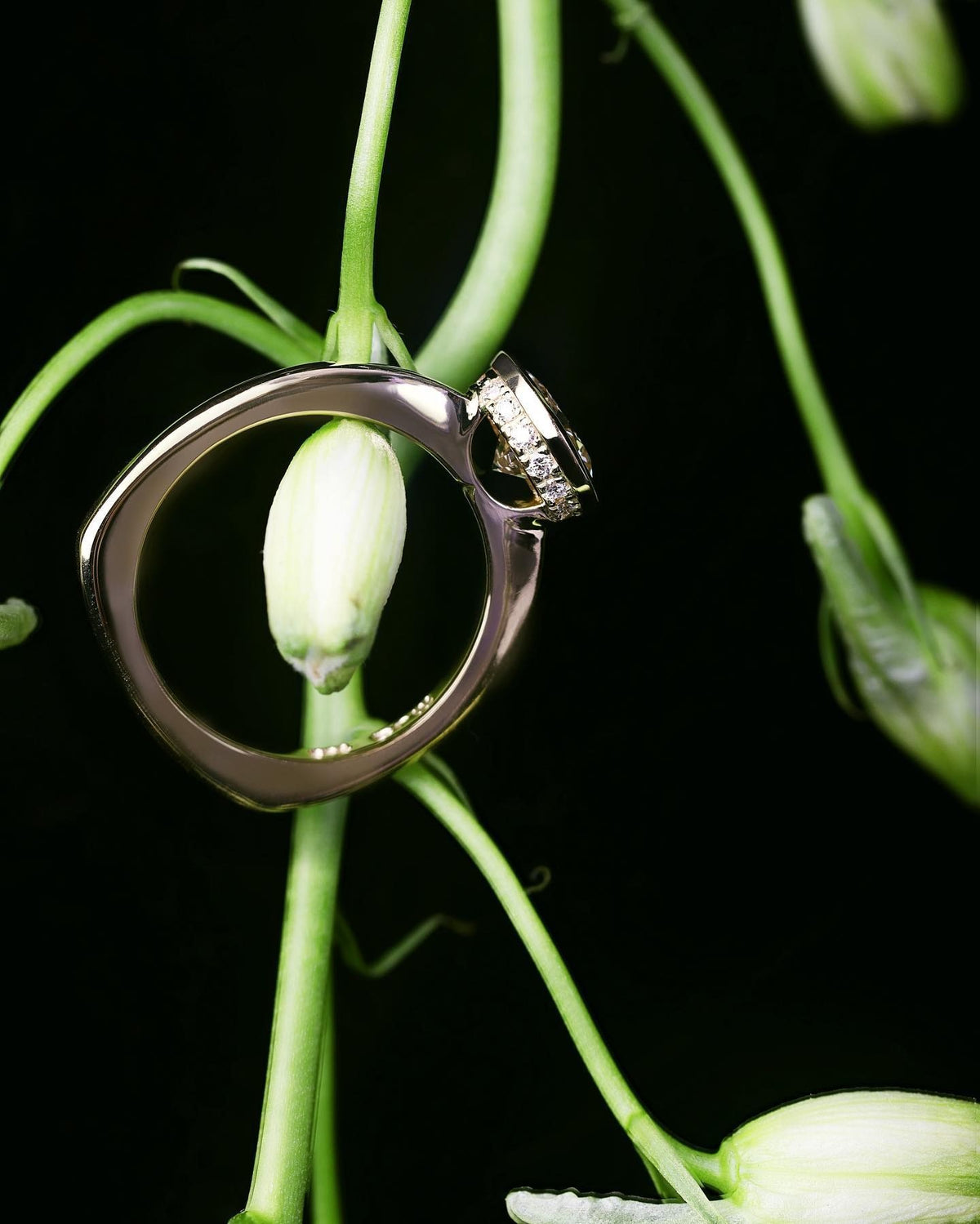 yellow gold Engagement Ring - PG-BI-045 - image 3