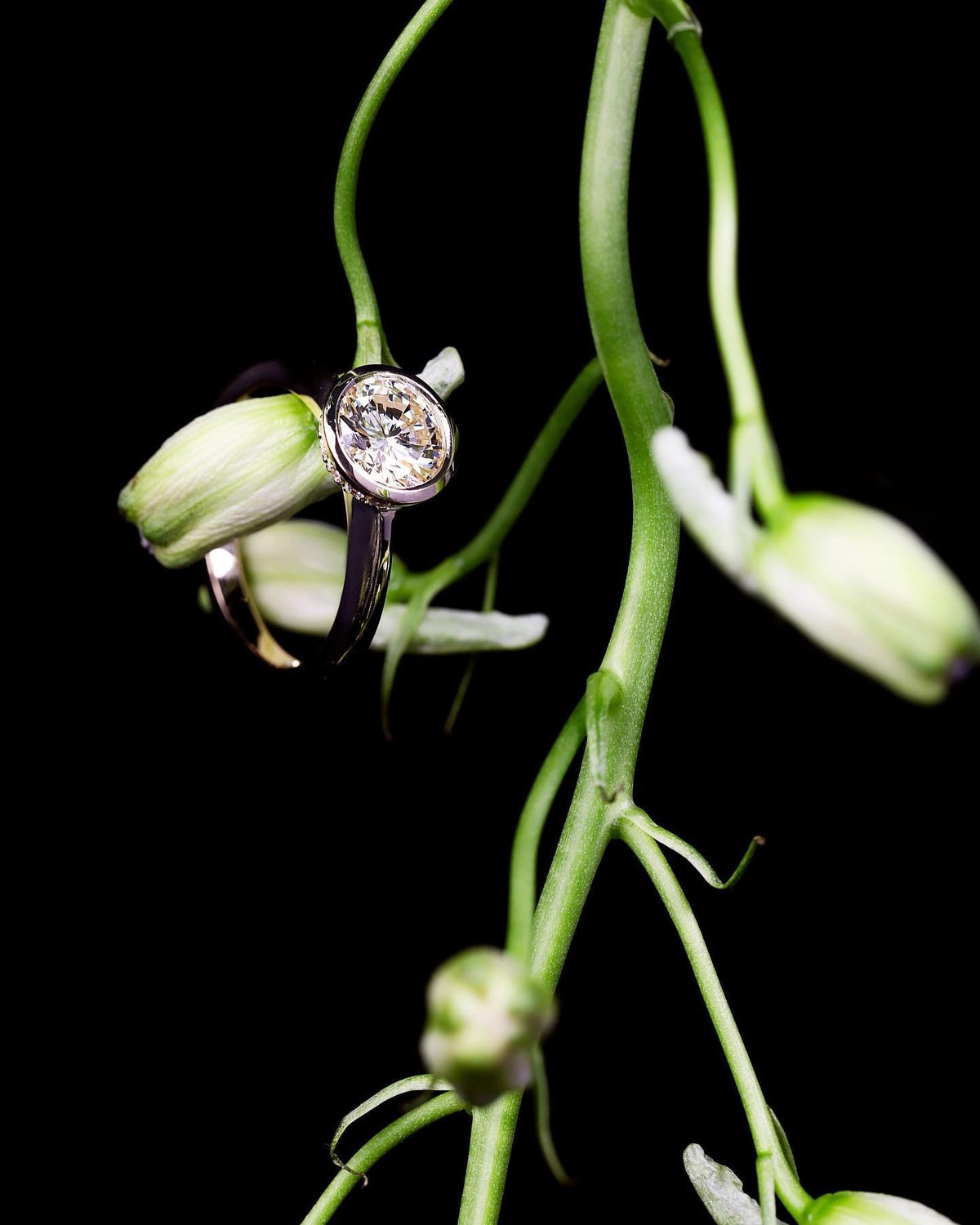 yellow gold Engagement Ring - PG-BI-045 - image 4