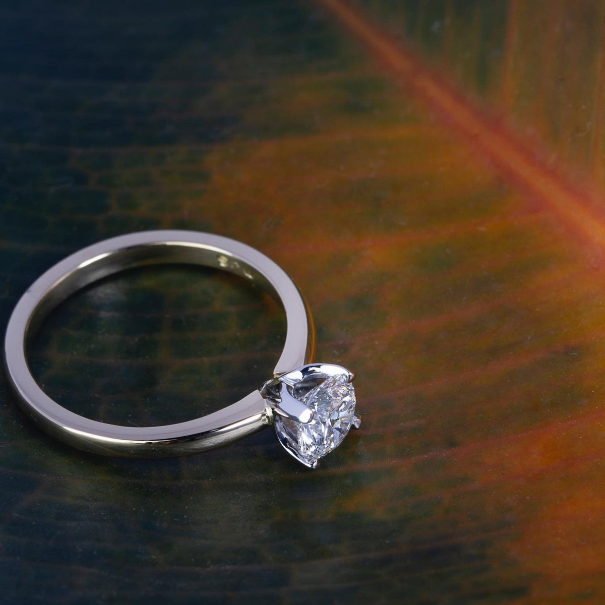 Diamond platinum Engagement Ring - PG-BI-062 - image 1