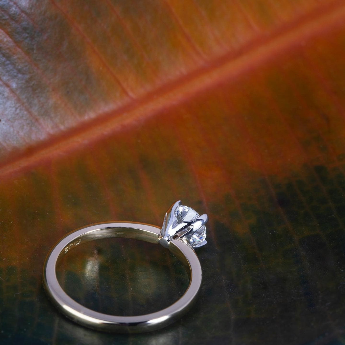 Diamond platinum Engagement Ring - PG-BI-062 - image 3