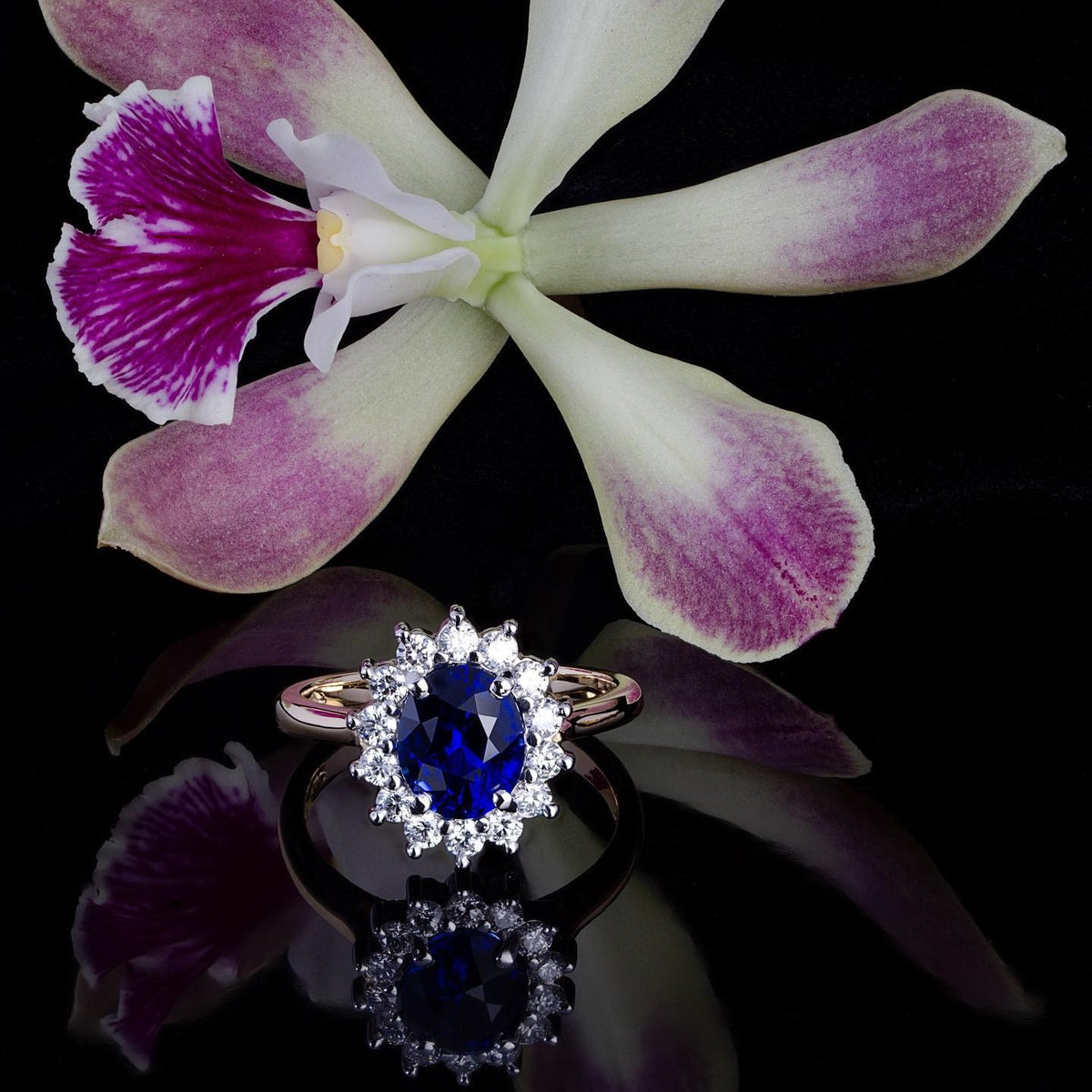 Ceylon sapphire Engagement Ring - PG-BI-071 - image 2