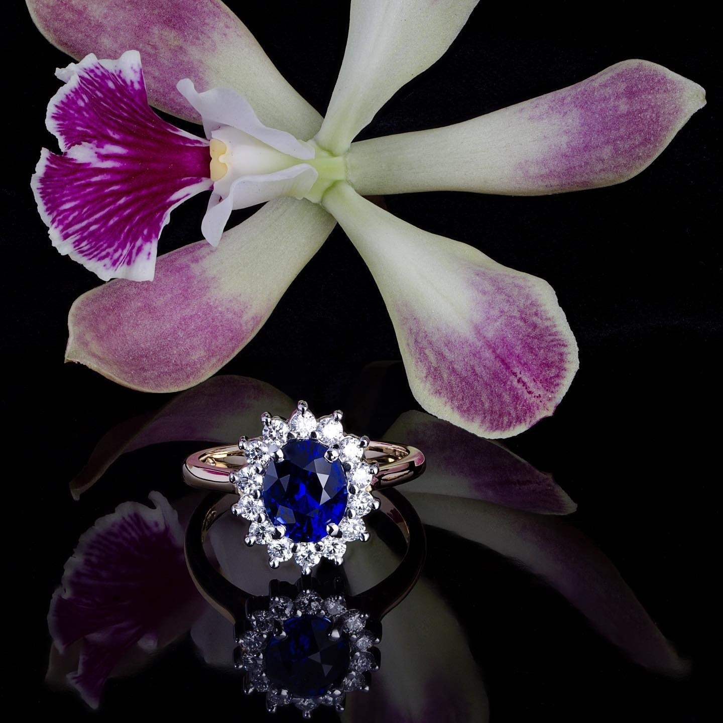 Ceylon sapphire Engagement Ring - PG-BI-071 - image 1
