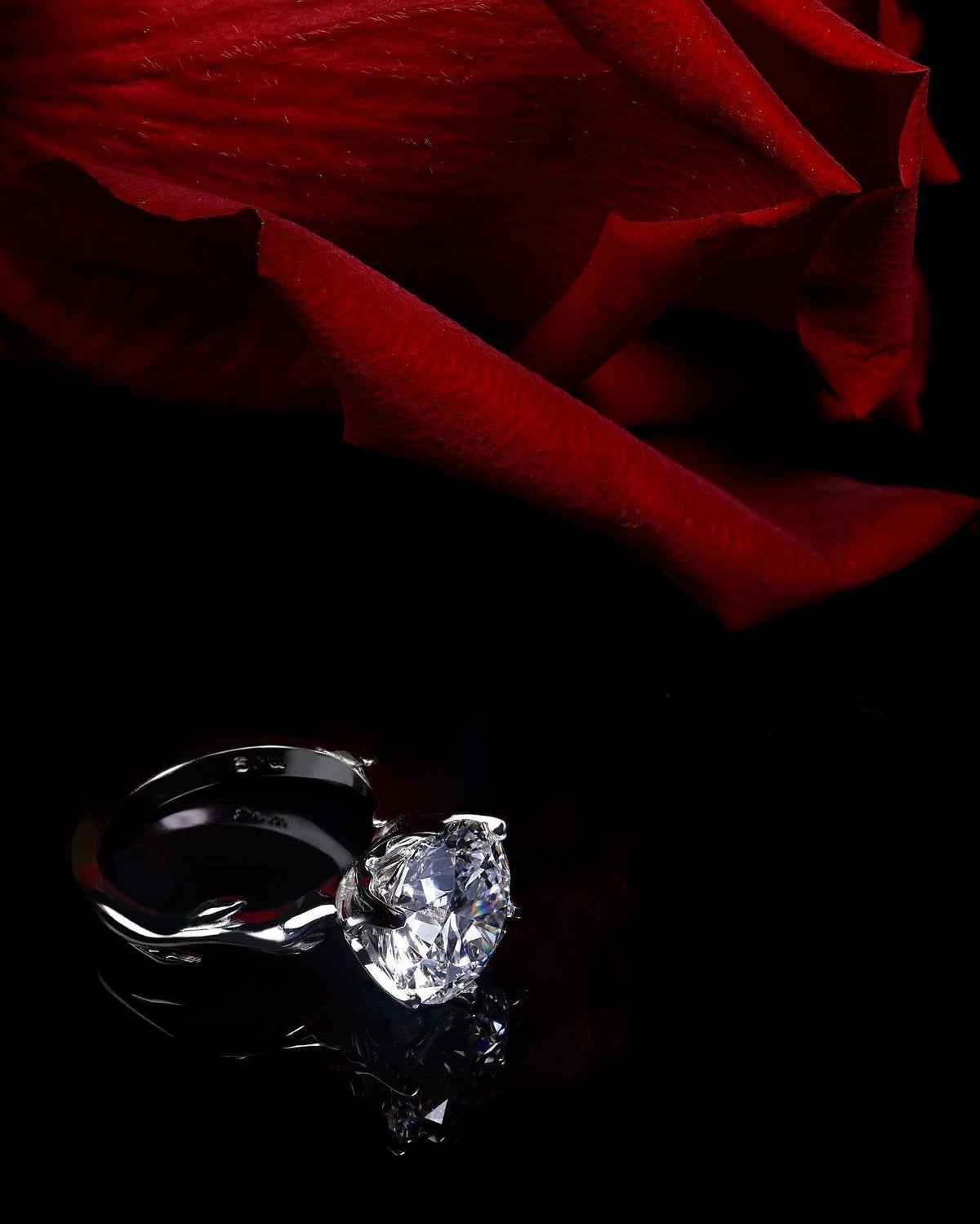 Rose - PG-BI-164 - image 3