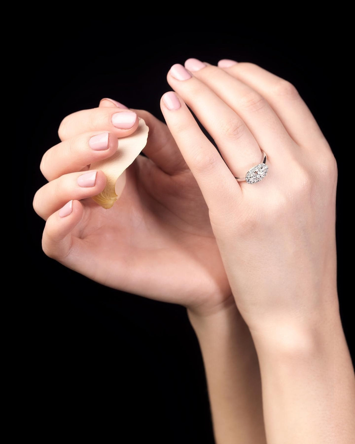 Diamond platinum Engagement Ring - PG-BI-275 - image 1