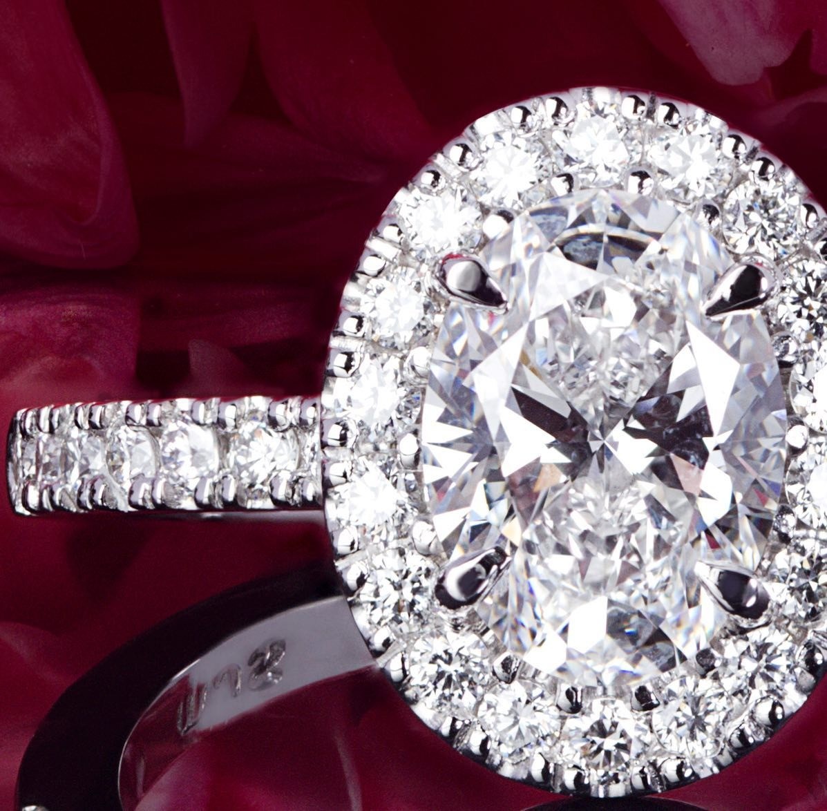 Diamond platinum Engagement Ring - PG-BI-460 - image 1