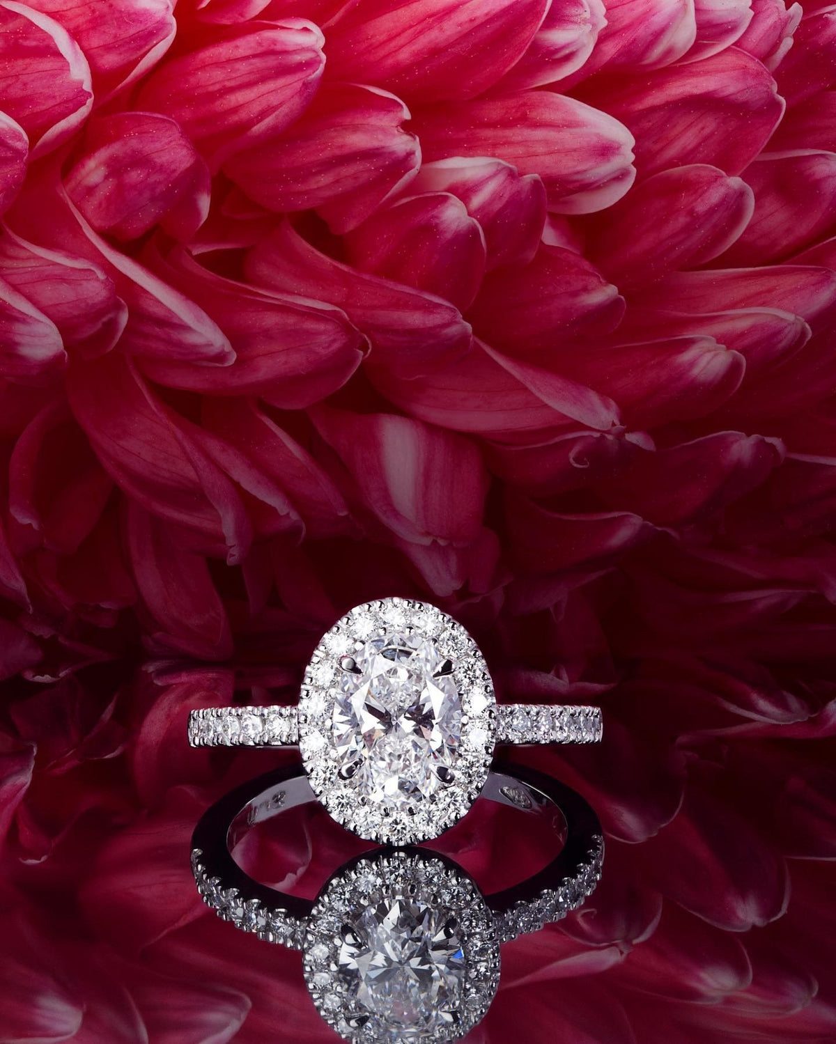 Diamond platinum Engagement Ring - PG-BI-553 - image 1
