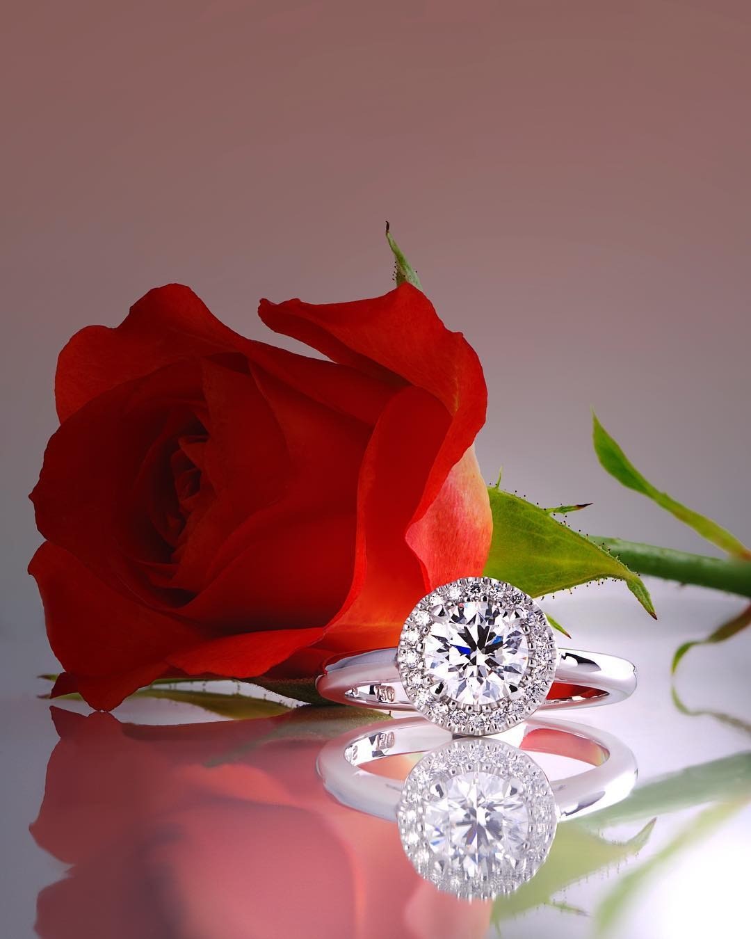 1ct D colour diamond engagement ring that left the studio last week - PG-BI-686 - image 1