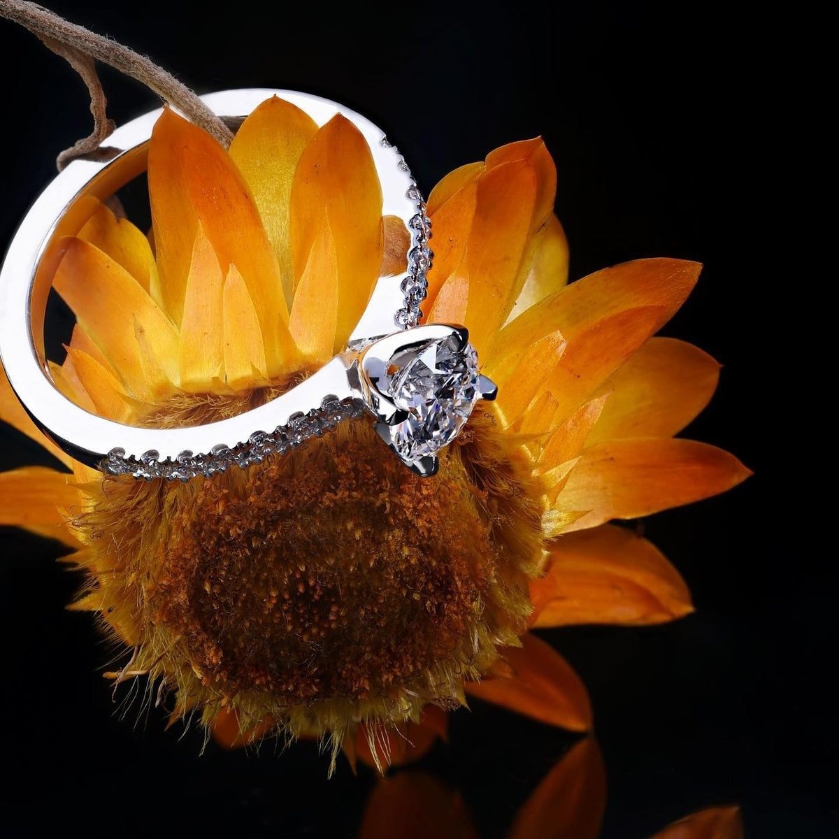 platinum Engagement Ring - PG-BI-736 - image 1