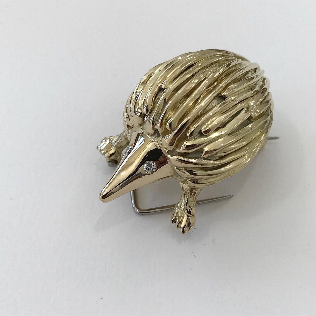 Australian Echidna This little fellow was - PG-BI-822 - image 1